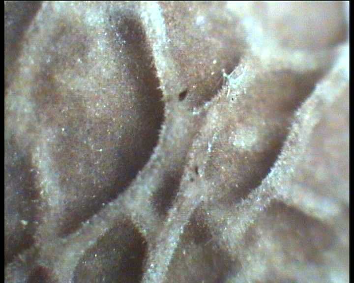 Winkel ( FRA ) 28.08.2004   2 Serie